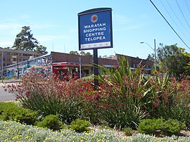 Telopea Waratah сауда орталығы.JPG