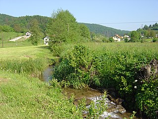 Temenica river in Slovenia