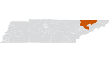 Tennessee Senate District 8 (2010).png