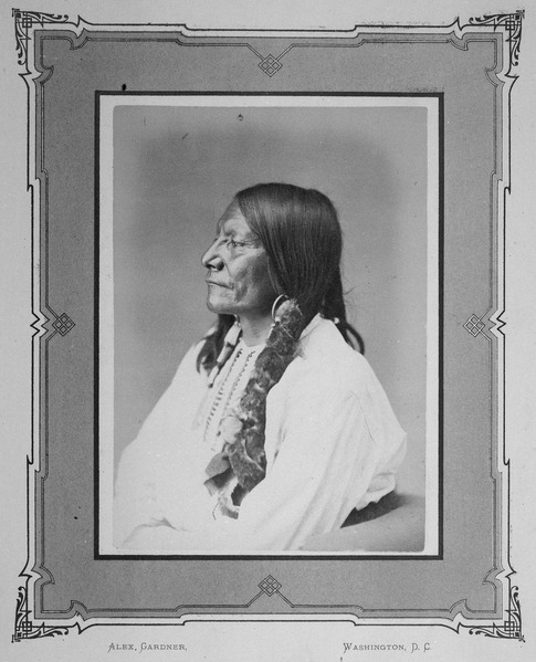 File:The One Who Run The Tiger-He-Gmah-Vua-Kovah. Brule Sioux, 1872 - NARA - 518994.tif