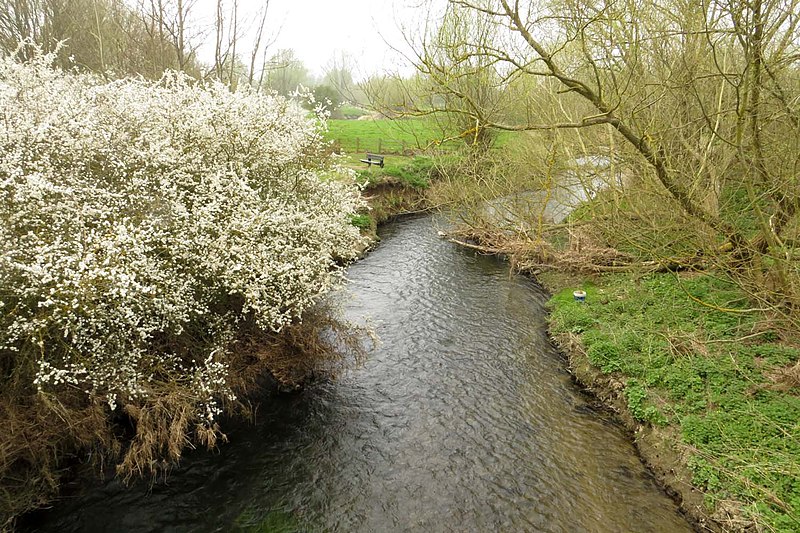 File:The River Ouzel from the footbridge - geograph.org.uk - 3963677.jpg