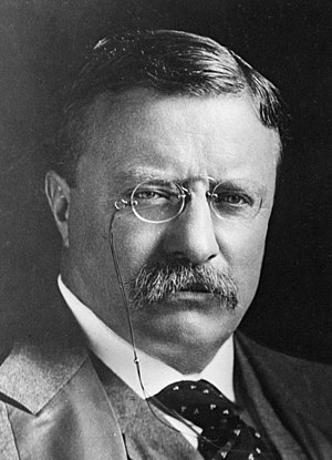 TheodoreRoosevelt(cropped).jpg