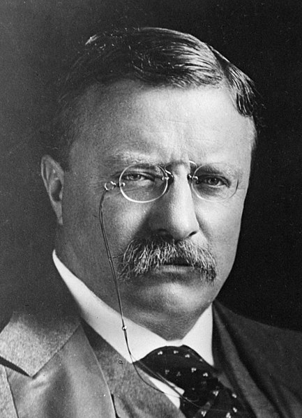 File:TheodoreRoosevelt(cropped).jpg