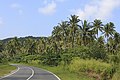 * Nomination Tiga Papan, District Kudat, Sabah: A coconut plantation at Kg Tiga Papan --Cccefalon 14:13, 22 November 2014 (UTC) * Promotion Good quality. --Livioandronico2013 14:25, 22 November 2014 (UTC)