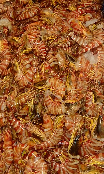 File:Tiger Prawns @ U.A.E.jpg