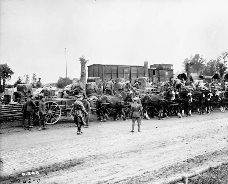 File:Transport in line to load up. 1st Canadian Divisional Train (Cdn. Army Service Corps). July 1916 A000270.jpg