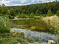 * Nomination Pond in the nature reserve Tretzdenorfer Weiher in the Steigerwald in Lower FranconiaThis image was uploaded as part of Wiki Loves Earth 2020. --Ermell 05:56, 2 June 2020 (UTC) * Promotion Good quality. --Sonya7iv 10:51, 2 June 2020 (UTC)