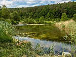 Tretzendorfer Weiher