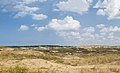 between Wassenaar and Katwijk, view in the dunes