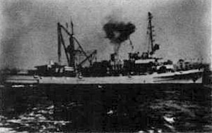 USS Coucal