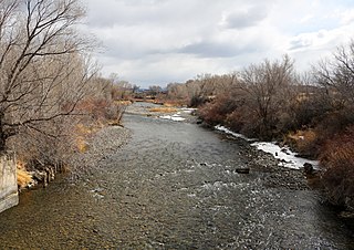 <span class="mw-page-title-main">Uncompahgre River</span> River in Colorado, United States