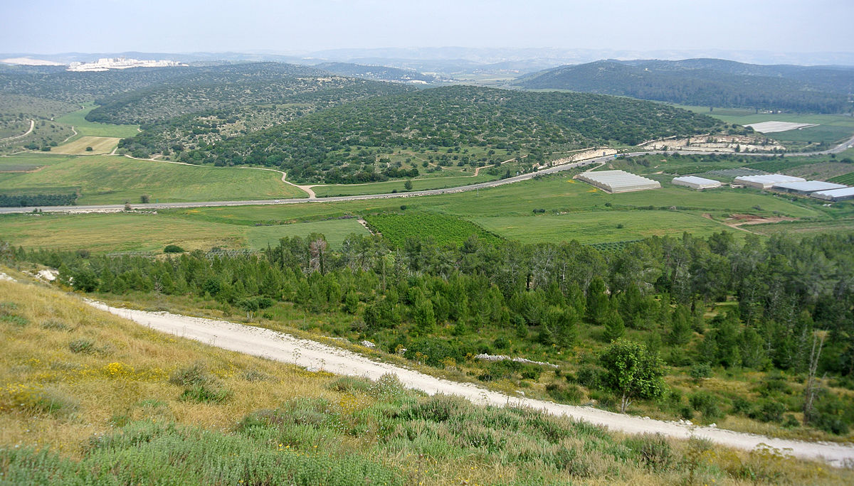 1200px Valley Of Elah From Tel Azeka 
