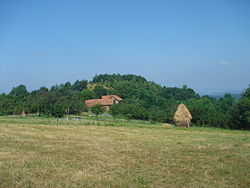 Skyline of Vasoaja