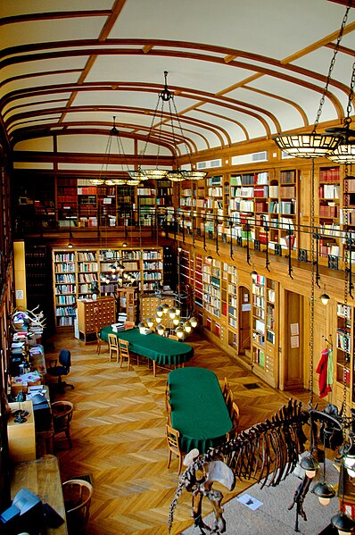 File:Vue de la bibliothèque de l'IPH.jpg