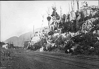 <span class="mw-page-title-main">Waro railway station</span> Defunct railway station in New Zealand