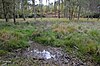 Wavendon Heath Göletleri