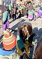 Weigheim Fastnacht 2019-5623.jpg