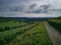 Städtisches Weingut Edelberg im Äußeren Edelberg