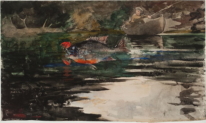 File:Winslow Homer - An Unexpected Catch.jpg