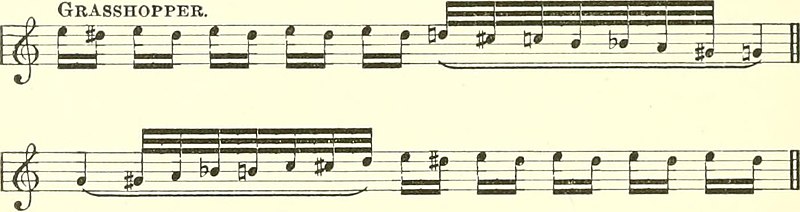 File:Wood notes wild, notations of bird music; (1892) (14562374898).jpg