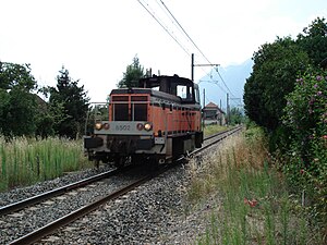 Y8502 тіршілік иесі arzens.jpg