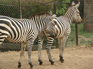 Исламабадский зоопарк