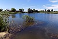 * Nomination Wiki Loves Earth 2020. Natural Monument of Russia, Belgorod Region, pond "Boltushka --Aleksandra057 08:51, 6 July 2020 (UTC) * Decline Too much noise --Michielverbeek 05:27, 14 July 2020 (UTC)