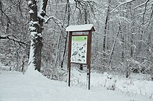 Голосеевский национальный природный парк. Фото 38.jpg