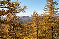 Золотая осень в горах Башкортостана.jpg