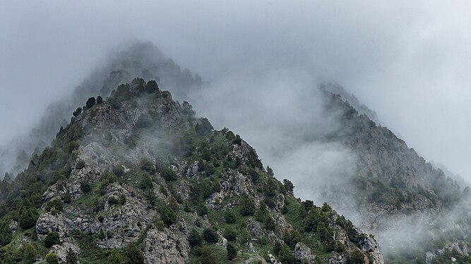 31. Kyrgyz-Ata State Nature Park author - Marat Nadjibaev