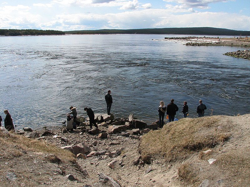 File:Устье канала каскада нивских ГЭС. Приплыли тюлени. - panoramio.jpg