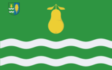 Флаг села Грушово.png