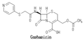 セファピリン