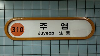 <span class="mw-page-title-main">Juyeop station</span> Metro station in Goyang, South Korea