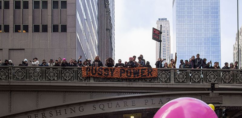 File:01-21-2017 - Women's March on NYC (10703).jpg