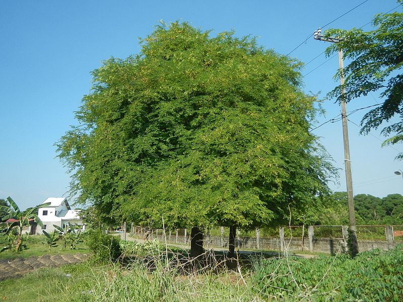 File:02634jfPandi, Bulacan Roads Schools Landmarksfvf 07.jpg