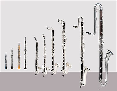 Clarinets in A, E, and B, basset clarinet in A, alto clarinet, basset horn, two bass clarinets (ranging to low E and low C), contra alto clarinet, and contrabass clarinet. 10 clarinets.jpg