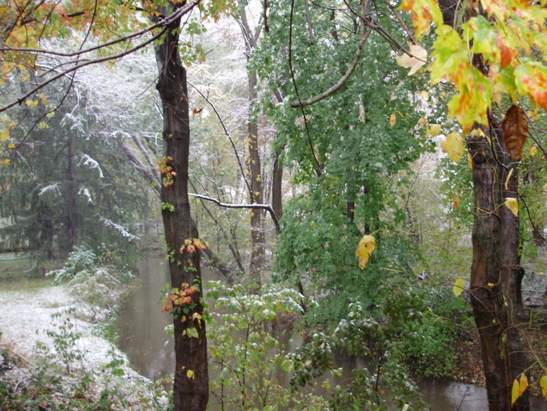 File:2011-10-29 12 00 00 19 View north-northeast up the West Branch Shabakunk Creek from yard behind a house along Terrace Boulevard with 0.4 inches of snow on the ground during the 2011 Halloween nor'easter in Ewing Township, Mercer County, New Jersey.jpg