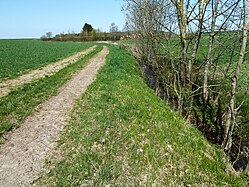 Ditches in Upper Swabia