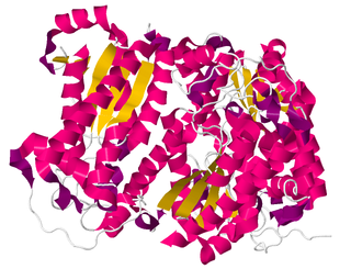 <span class="mw-page-title-main">Creatininase</span>