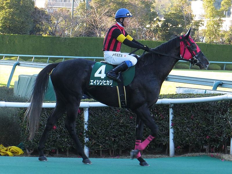 File:A-Shin-Hikari IMG 8127 R 20141213.JPG