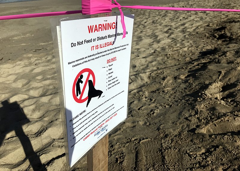 File:A sign advises beachgoers to avoid disturbing marine wildlife after an unusual number of ill or deceased marine wildlife washed up on Ventura and Santa Barbara county beaches. (36220749811).jpg