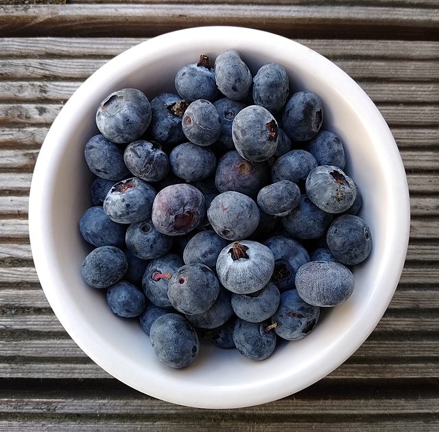 Blueberries grown in Aberdeenshire