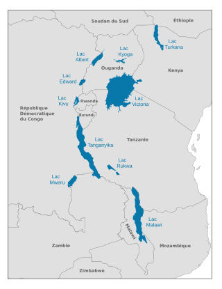 Population de l'Afrique des Grands Lacs