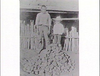 Ah Hong Chinese market gardener in Austraia