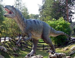 Allosaurus modell Lengyelországban