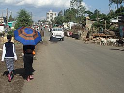 Ambo ethiopia steffenwurzel.jpg