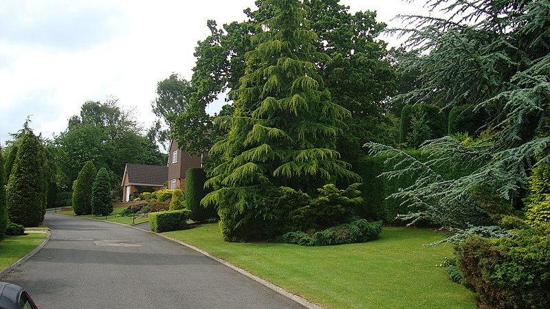 File:Anderton Close Four Oaks, Another Delivery - panoramio.jpg