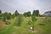 Čeština: Arboretum, Vrahovice, Prostějov