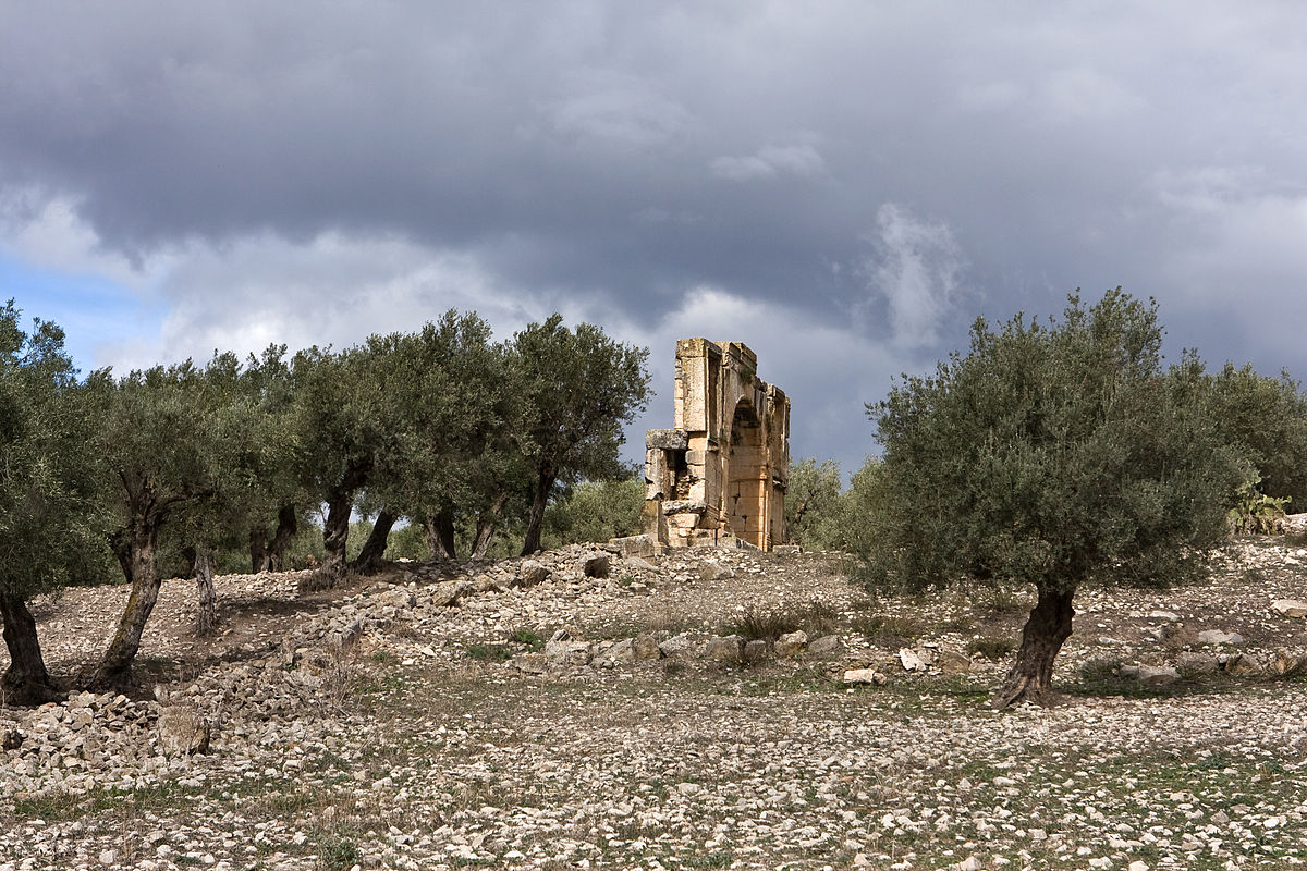 Arch of Alexander Severus (Dougga) Photograph: Agnieszkaphoto